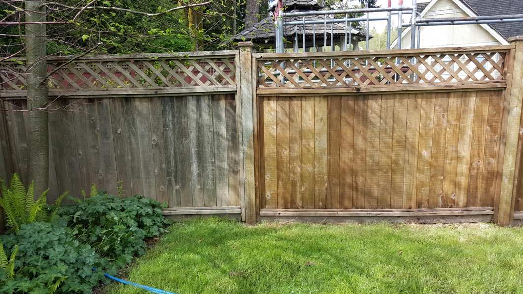 Fence Power Washing: Is It Safe For My Fence?