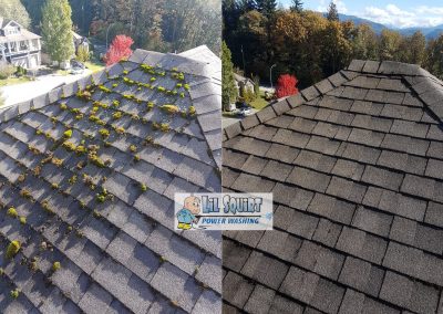 Roof Cleaning