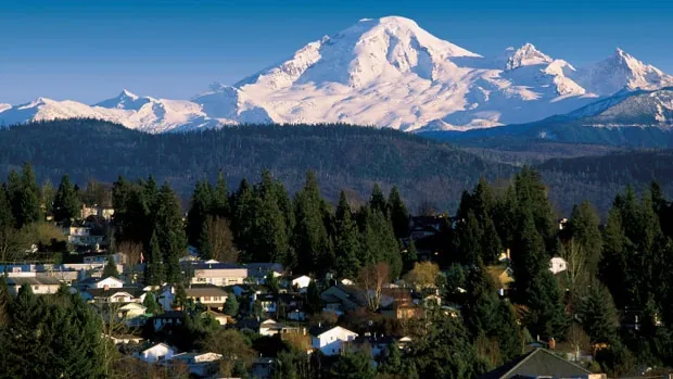 a mountain in the background